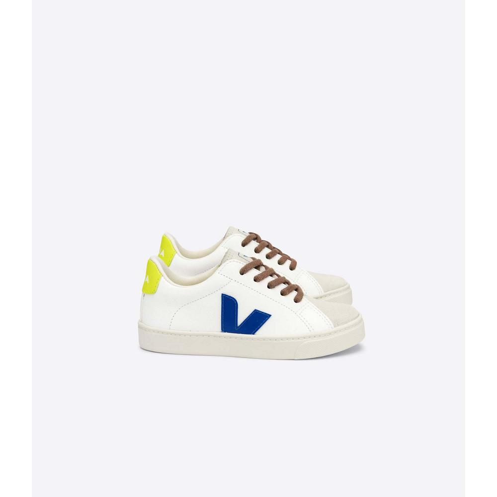 Veja ESPLAR LACES CHROMEFREE Kids\' Shoes White/Blue | NZ 733ILH